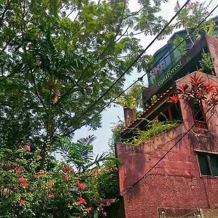 Rainforest Bed & Breakfast Kuala Lumpur Exterior photo