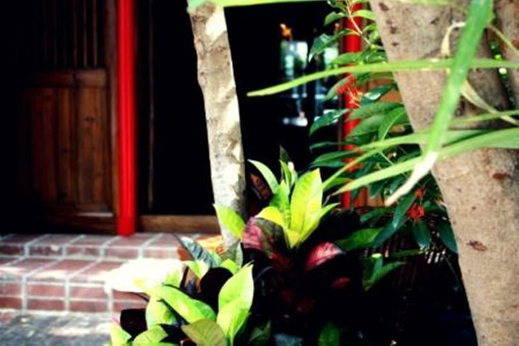 Rainforest Bed & Breakfast Kuala Lumpur Exterior photo