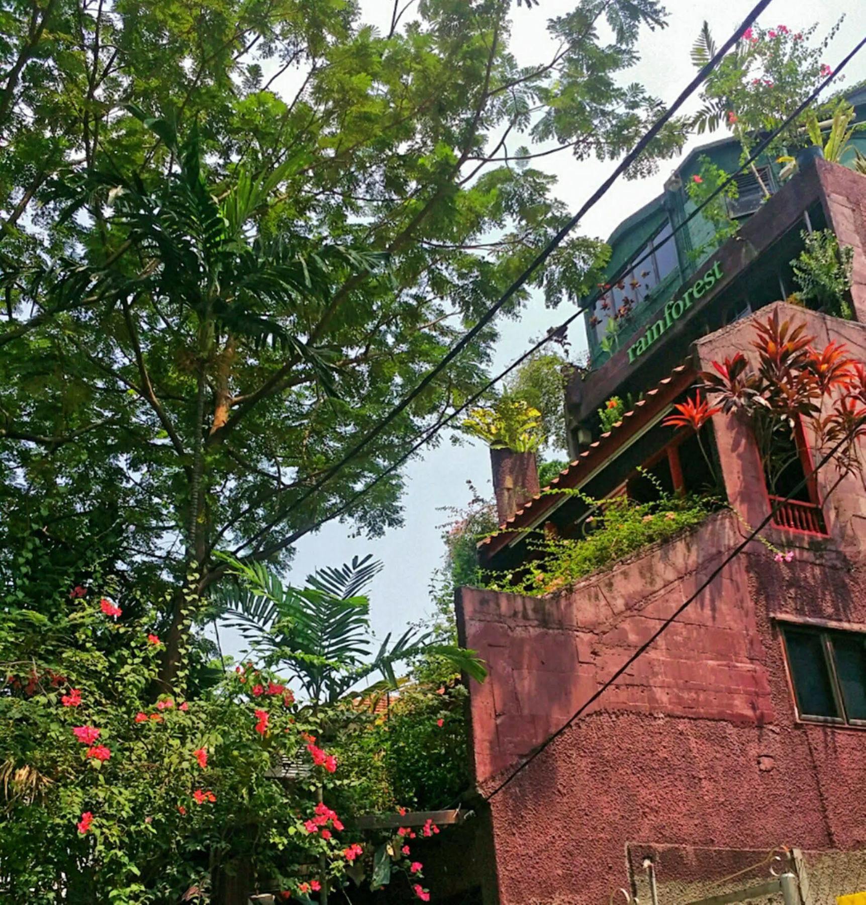 Rainforest Bed & Breakfast Kuala Lumpur Exterior photo